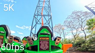 Tigris Back Row POV 5K 60fps Busch Gardens Tampa February 2023