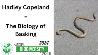 Hadley Copeland- The Biology of Basking