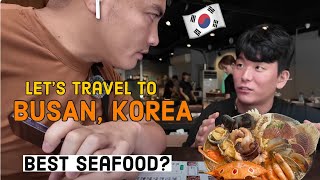 Let's Travel to BUSAN + Eating the BEST SEAFOOD | Busan Korea Vlog