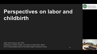 Perspectives on labor and childbirth