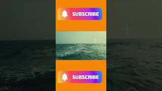 #shorts #short #shortvideo #shortsyoutube #shortsbeta #shortsfeed #youtubeshorts #parasailing