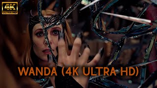 All Wanda Maximoff Scenes|4K ULTRA HD