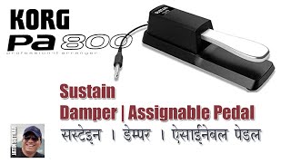 Korg PA800 | Sustain, Damper | Assignable Pedal | सस्टेन, डेम्पर ऐसैनेबल पेडल सेटिंग्स #korg