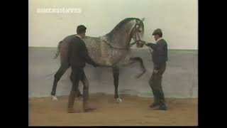 El mundo del caballo (1990) TVE2 - Con Fernando Savater