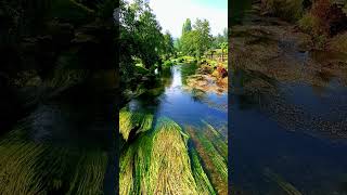 🇪🇸 🌳 Parque do Chanto (Sarria) #Senderismo #Galicia #España #Shorts