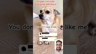 I am so cute  #tiktok #safa #lisa #123go #youtube #dog #doglover #shorts #tranding #funny #duet