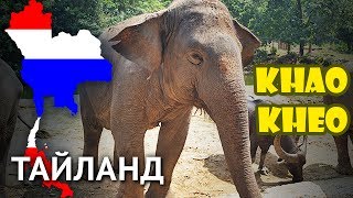 Тайланд 2013 #8 - Зоопарк Кхао Кхео (Паттайя)