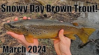 Indiana Stream Trout: Snowy Day Browns! 3/20/24