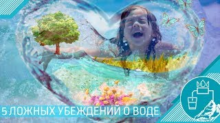 5 ложных убеждений о воде