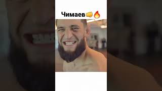 Хамзат Чимаев: Уже не терпится выйти в актогон👊🔥💥#shorts #бои #mma #ufc #боибезправил