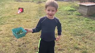 Kids are making forage salad in January!