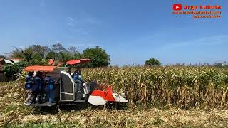 COMBINE HARVESTER KUBOTA -  PANEN JAGUNG PROBOLINGGO #argakubota 082319180394