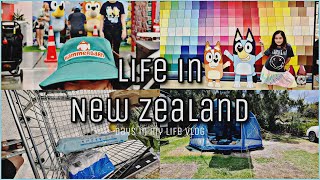 Life in New Zealand ~ Started painting again + Going to our FIRST camping trip @ Waipu Cove!