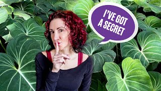 I've Been Keeping A Secret.... | The Planty Truth Revealed!