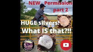 XP Deus. New permission part 2. HUGE silvers! What IS that??