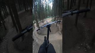 Mountain Bike trail of dreams 🤩 #mountainbike #mtb #biker #pov #slopeduro