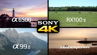 Sony A6500 + a99ii + RX100V + Handycam 4K компиляции