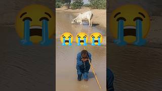 Desert People of Desert Drink This Dirty Pond Water #villagelife #viral #shorts