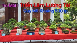 TIN MỚI 26/7 ! Triển Lãm cây cảnh nghệ thuật Huyện LƯƠNG TÀI với quý mô khoảng 600 TP ĐẸP !