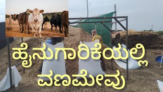 ಯದವಾಡ ಕಡಬಾಕುಟ್ಟಿ... ಜೋಳದ ಕಣಿಕಿ.| Animal dry feed.