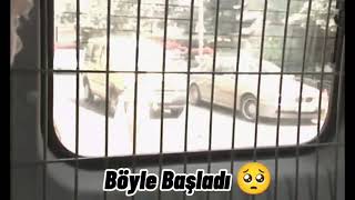 Böyle Başladı 😖 Ama Bitmedi 😂