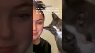 Funny Cat 🐈‍⬛ funny cats moments 🥰 #cathouse Ep 8182