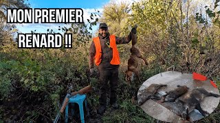 Ma première battue au gros gibier 2023  : je tire un renard !!