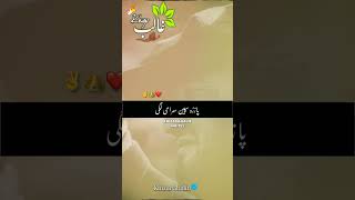 pushto best poetry new poetry subscribe My channel songs Love 2024 poetry