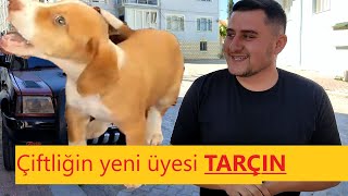 ÇİFTLİĞİN YENİ ÜYESİ TARÇIN.