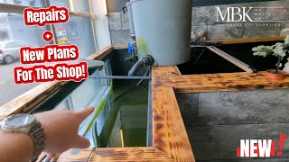 Changes Ongoing At The Shop! | My Boys Koi | Weekly Update #koi #fish