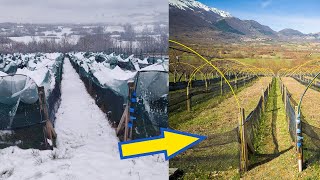 Danni da Neve Sistemati e Gestione del Letargo più Efficiente