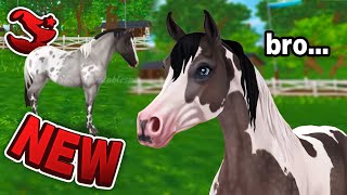 STAR STABLE SPOILERS - A TON OF NEW HORSES! 🤯