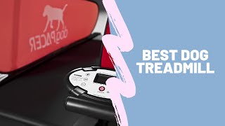 Best Dog Treadmill