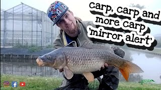 carp, carp and more carp 'mirror alert'