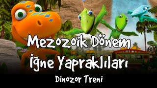 Dinozor Treni - Mezozoik Dönem İğne Yapraklıları - Bölüm 34 - Türkçe TRT Çocuk