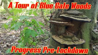 A Tour of Blue Gate Woods - Base Camp - First Person