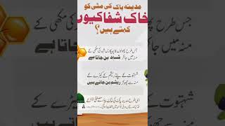 #فوائد ماشاءاللہ اللہ پاک کی قدرت سبحان اللہ