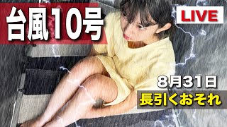 台風の中、お外で祝81万人配信 #shorts #shortsfeed #ライブ配信