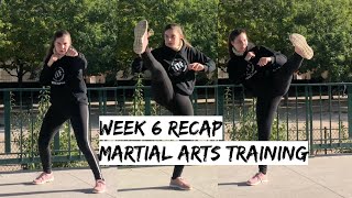 Week 6 Recap - Marital Artist Training routine