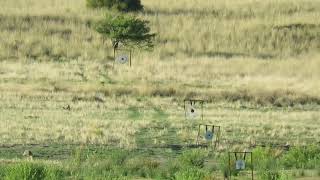 SHOOTING 1000 YARDS WITH STOCK STANDARD HOWA 1500 243