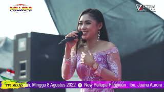 Cinta Rahasia - Anna Rista | New Pallapa TPI Mojo Pemalang 2022