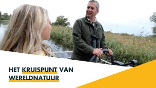 Elisabethsvloed | Het kruispunt van Wereldnatuur