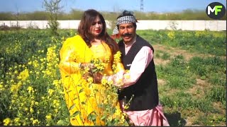 ਧੋਖੇਬਾਜ਼ | Top Funny | New Punjabi Short Movie 2023 | Momo Family