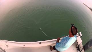 Castnetting bait EASY with Capt. Todd Romine