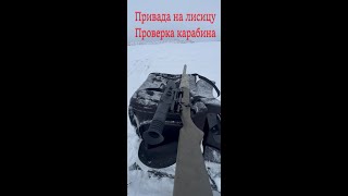 Привада на лисицу. Проверка пристрелки винтовки Remington 700