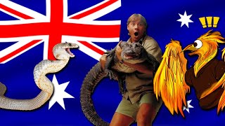 AUSSIE SNAKE STORIES