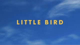 Jonas Brothers - Little Bird (Official Lyric Video)