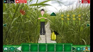 Wow Family Escape From Tall Grass Walkthrough [WowEscape]