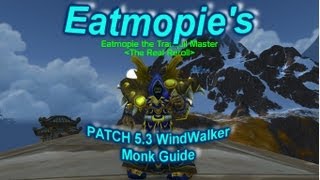 Patch 5.3 Windwalker monk PVE/PVP Talents, Glyphs, Gems, Reforging, and Rotation with Eatmopie