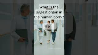 What is the largest organ in the human body?#S1V1 #quiz #quizzes #quiztime #medicalquiz #quiztest